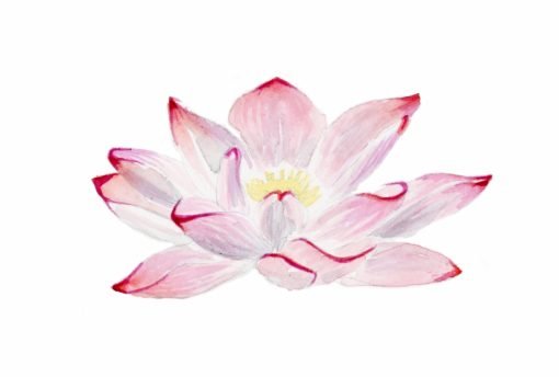 The Refined Hippie Lotus Logo