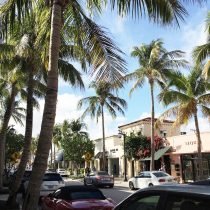 Palm Beach: Sunshine and Smoothies