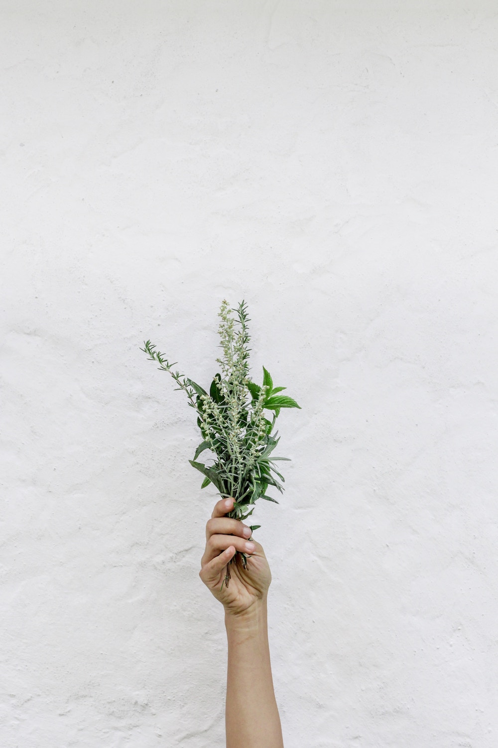 Essential oils are distilled from plants and consist of many small molecules.