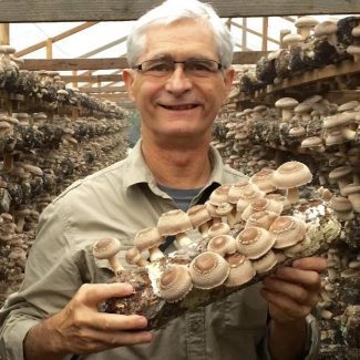 Podcast Ep 32: All About Medicinal Mushrooms with Jeff Chilton