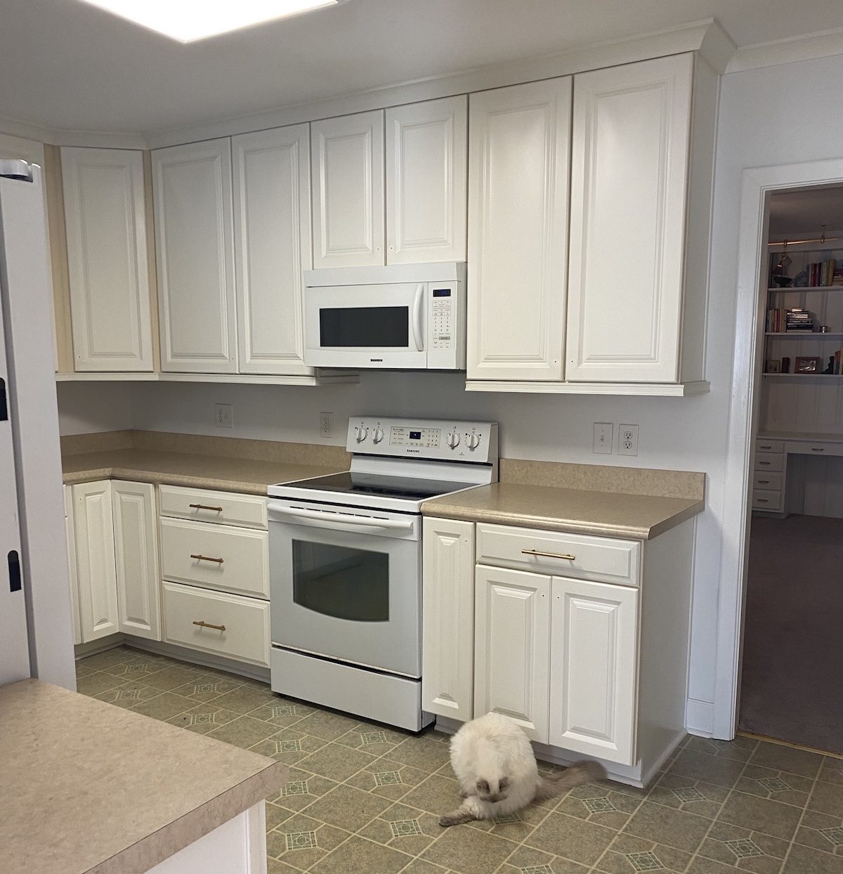 Kitchen is cleared out for renovations. 