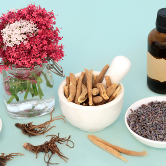 Adaptogens 101