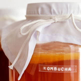 Kombucha 101
